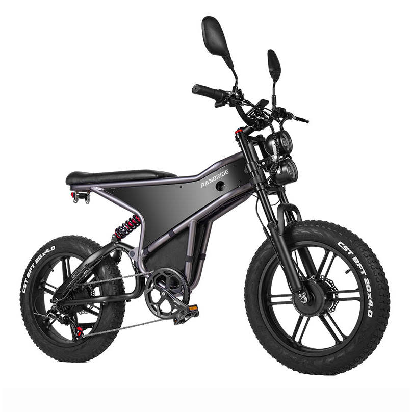 20인치 전기 산악자전거, 유럽 베스트셀러 상품, 자체 - Mountain Biking Europe 리뷰 및 가격