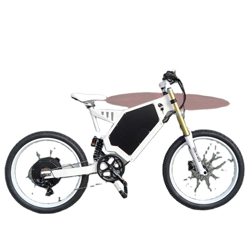 유럽 공장 직영 대형 파워 팻 산악 자전거 3000w  - Mountain Biking Europe 리뷰 및 가격